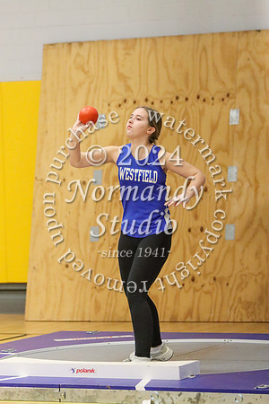 WHS_tr-g_17