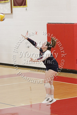 MSM_vb-g_45