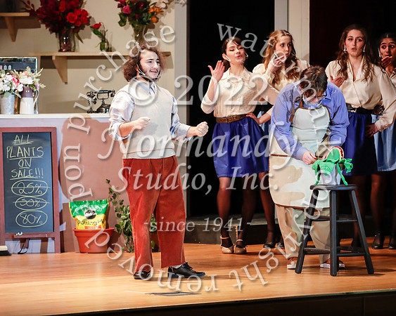 BER_53_little shop of horrors