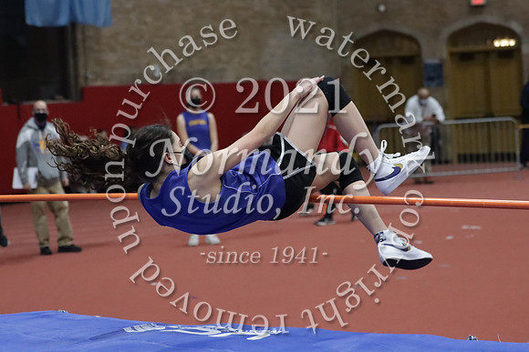 CHS_12_wt-g
