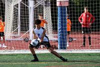 WHS_so-b_003