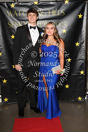 WTG_sr_prom_047