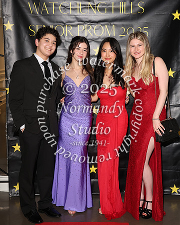 WTG_sr_prom_038