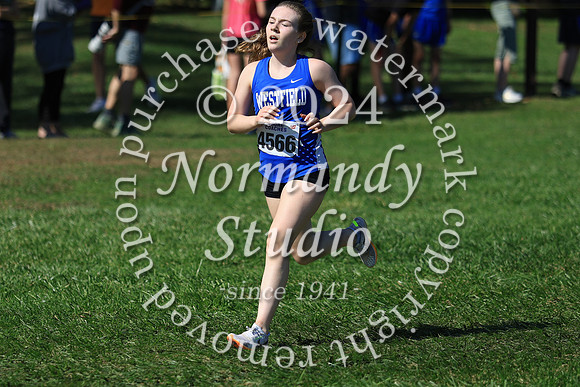 WHS_cc-g_31