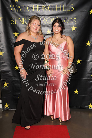 WTG_sr_prom_057