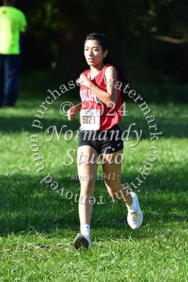 MNP_cc-g+b-j_30