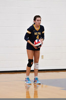 DVH_vb-g_24