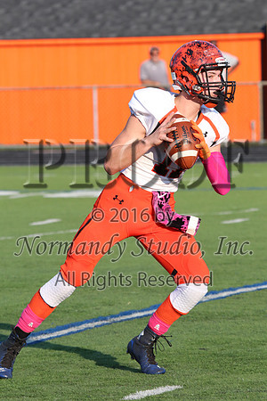 SVL_fb-j_065