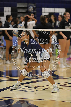 IMC_vb-g_12