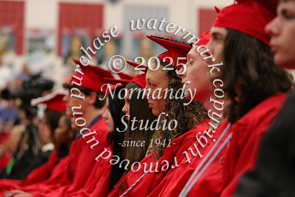 LIB_candids_24