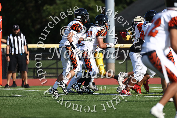 SVL_fb-f_55