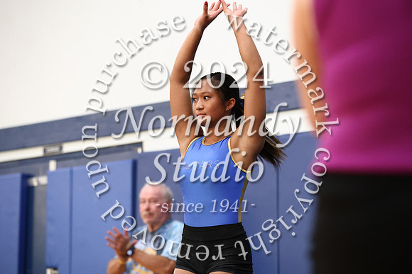CHS_gy_15
