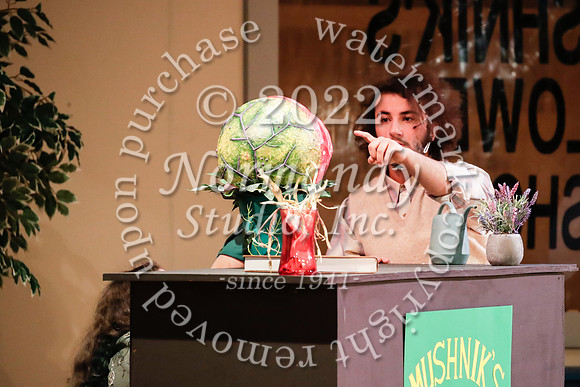 BER_62_little shop of horrors
