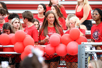 LIB_fb-fans_08