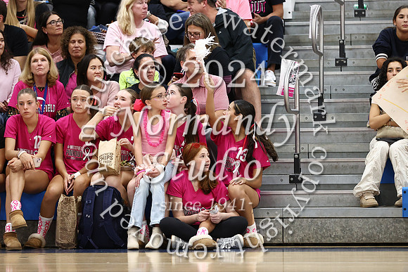 WHS_vb-pink out_50