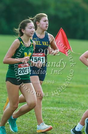 DVH_cc-g_45