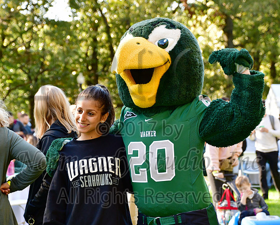 WAG_66_hc