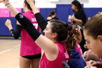 WHS_vb-pink out_15