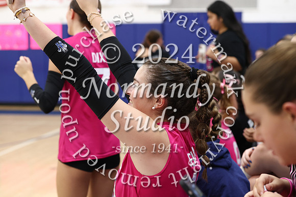 WHS_vb-pink out_15