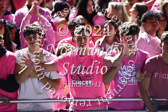 SPF_fans_61