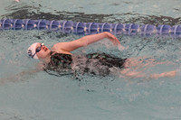 WHS_sw-g_13