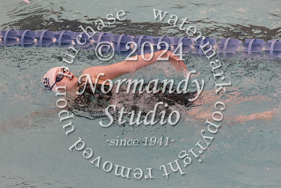 WHS_sw-g_13