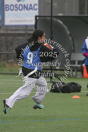 WHS_ff_62