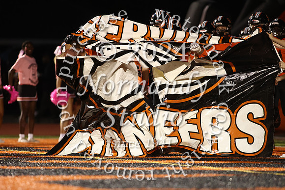 SVL_fb_11
