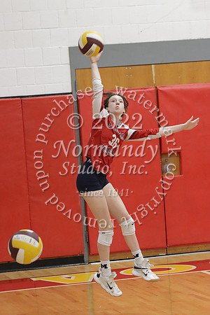 MSM_vb-g_24