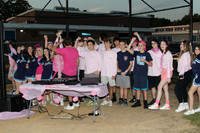 ALJ_18_pink-out