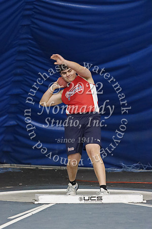 MNP_011_wt-b