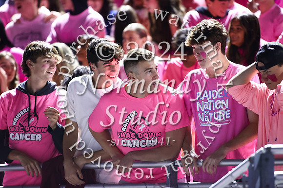 SPF_fans_28