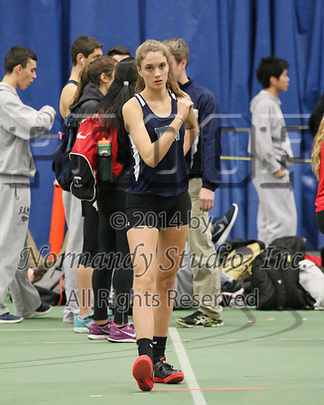 WMC_33_wt-g