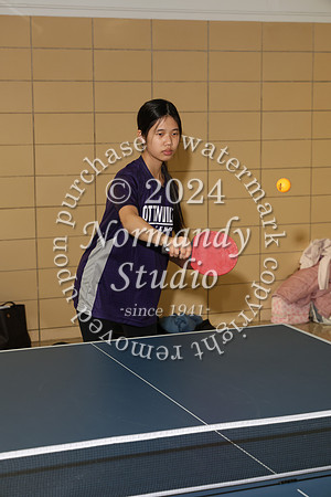 TOT_tt-g_17