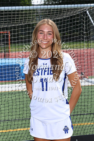 WHS_fh-srs_384
