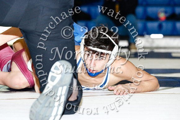 SHP_39_wr-v