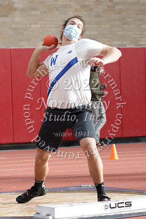 WHS_48_wt-b