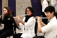 TOT_concert_02