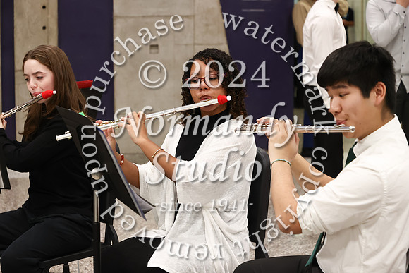 TOT_concert_02