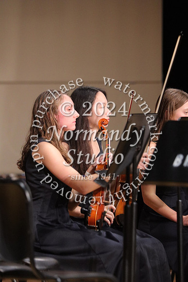 BER_orchestra_32