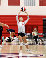 LIB_vb-g_17