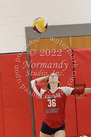 MSM_vb-g_25