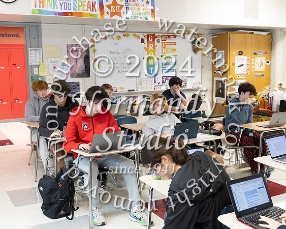 BER_slc_294