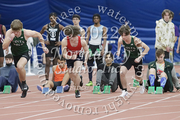 MNP_085_wt-b