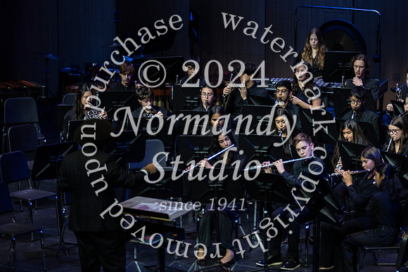 WTG_concert_46