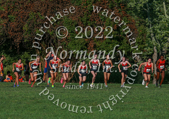 WMM_cc-g_11