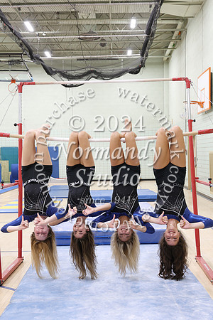 WHS_gy_133