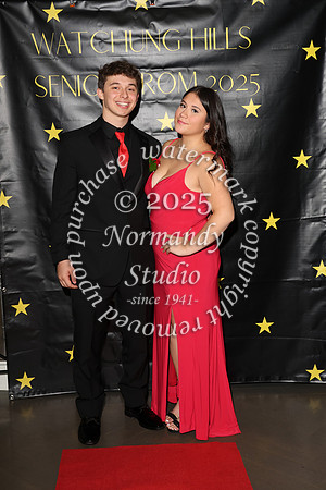 WTG_sr_prom_051