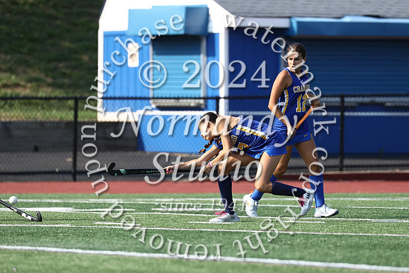 CHS_fh_13