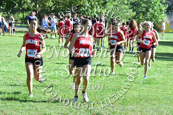 MNP_cc-g+b-j_01